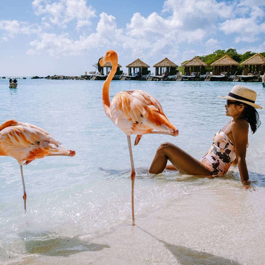 Caribe
